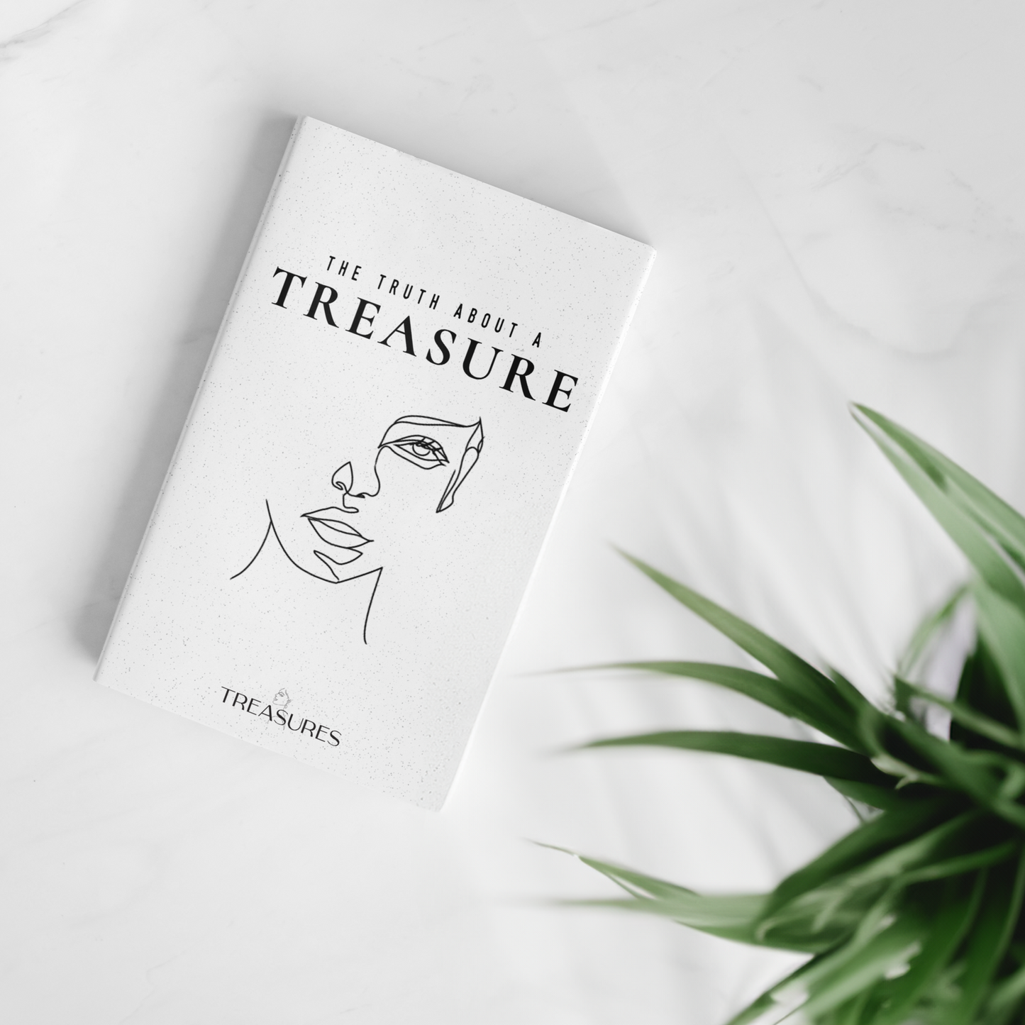 The Truth About A Treasure Booklet